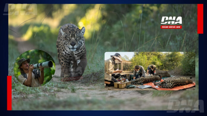 Correntino-Fotografo-DNA